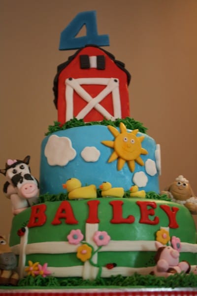 Bailey's Farm Party Cake