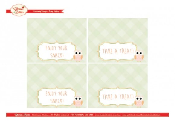 free-owl-party-printables