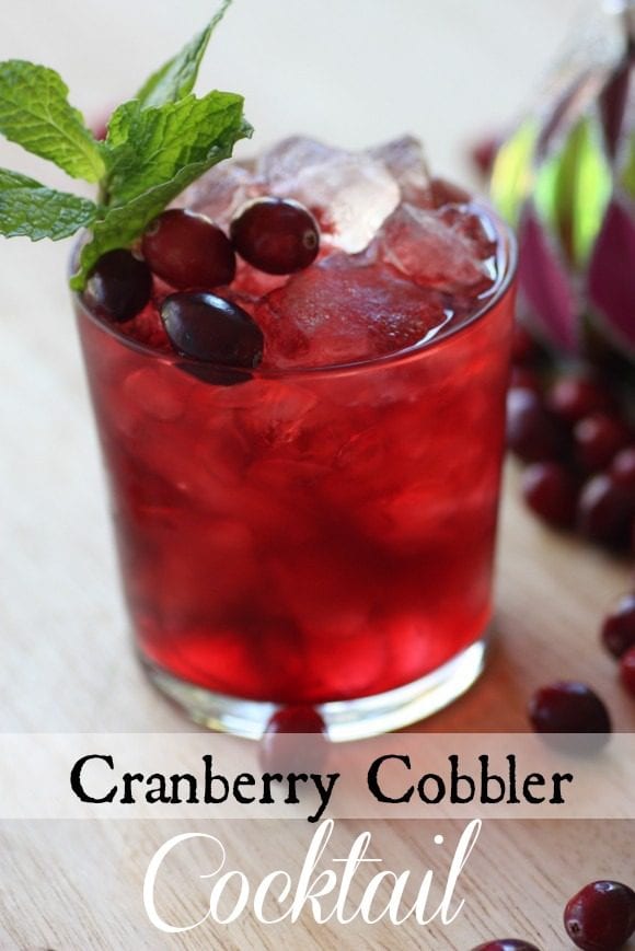 Cranberry Cobbler Cocktail Recipe | CatchMyParty.com Cranberry Cobbler Cocktail Recipe | CatchMyParty.com