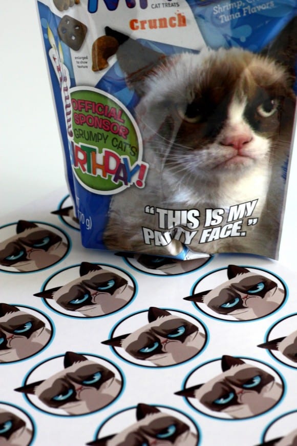 Grumpy Cat Temporary Tattoo | CatchMyParty.com