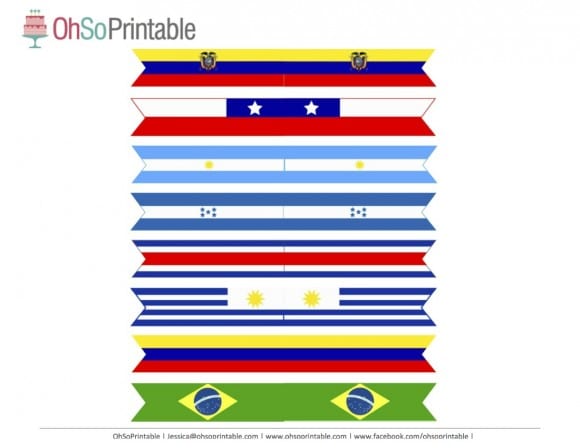 FIFA World Cup Soccer 2014 Free Party Printable Flags | Catch My Party.com