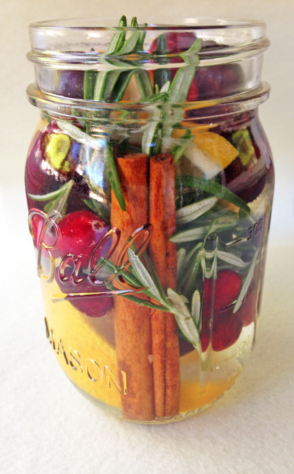 Cranberry Orange Spice Stove Top Potpourri DIY Catch My Party