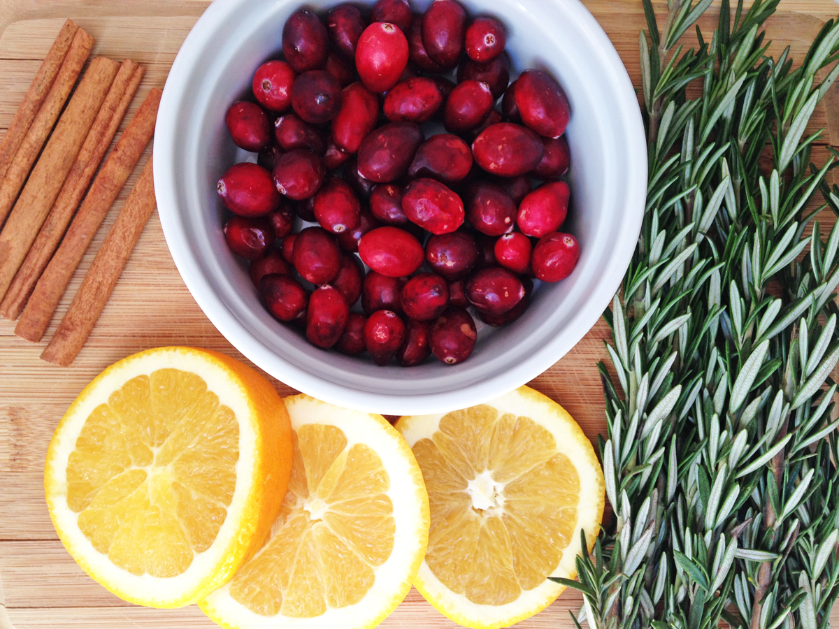 Cranberry Orange Spice Stove Top Potpourri DIY Catch My Party