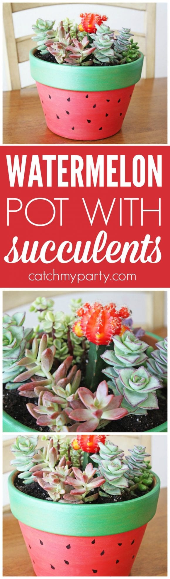 Succulent Garden Painted Pot DIY | CatchMyParty.com Succulent Garden Painted Pot DIY | CatchMyParty.com