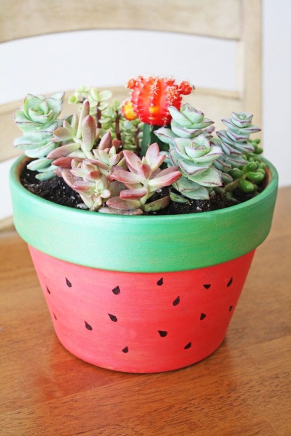 Succulent Garden Painted Pot DIY | CatchMyParty.com Succulent Garden Painted Pot DIY | CatchMyParty.com