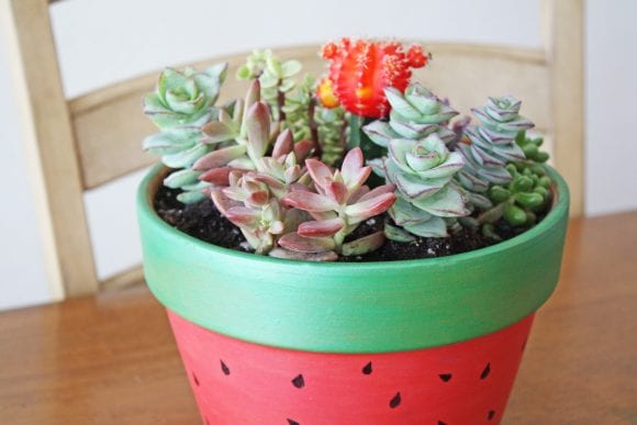 Succulent Garden Painted Pot DIY | CatchMyParty.com Succulent Garden Painted Pot DIY | CatchMyParty.com