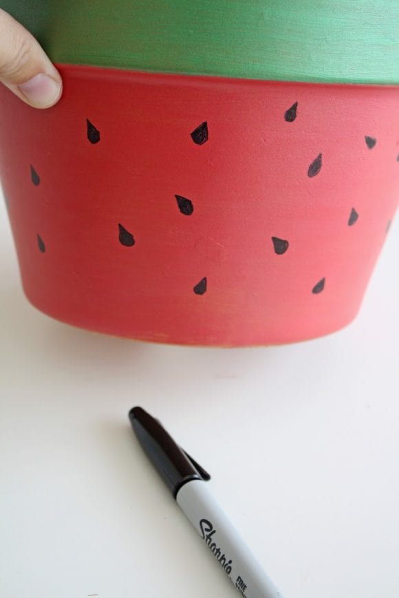 Succulent Watermelon pot | Catchmyparty.com Succulent Watermelon pot | Catchmyparty.com