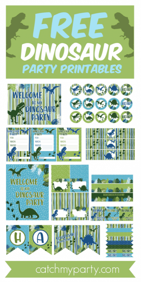 These 25 Dinosaur Party Supplies Will Make You Roar! | Catch My Party