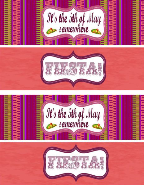 Cinco de Mayo Inspirations from Catch My Party | Catch My Party