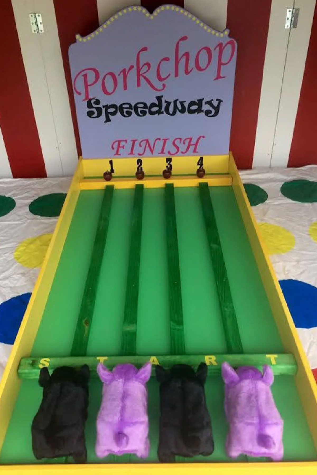 Have Fun With These 22 Carnival Games Party Supplies! Catch My Party