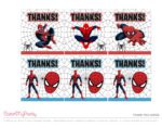 Download These Fantastic Free Spiderman Party Printables! | Catch My Party