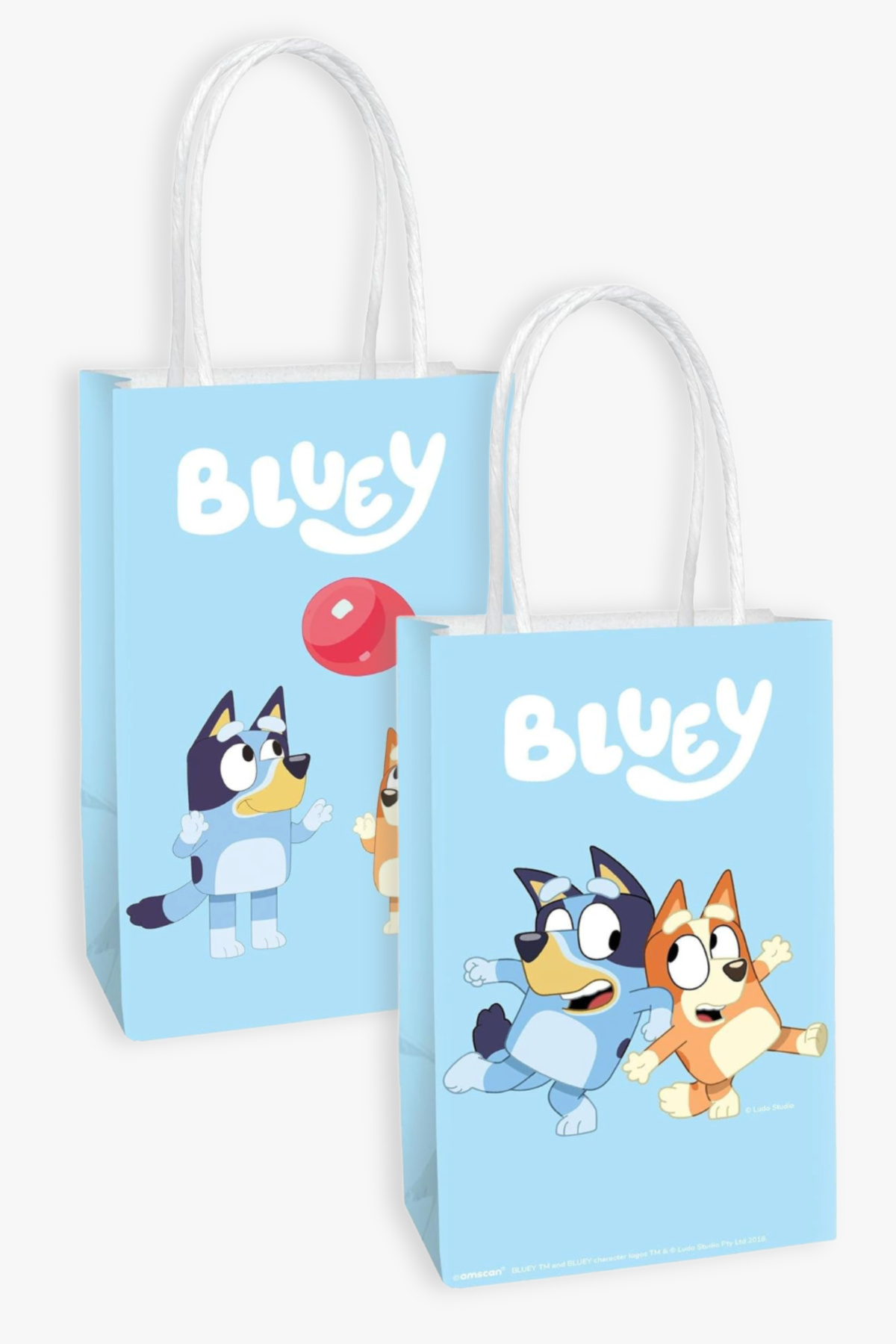 Bluey Party Favors Bags