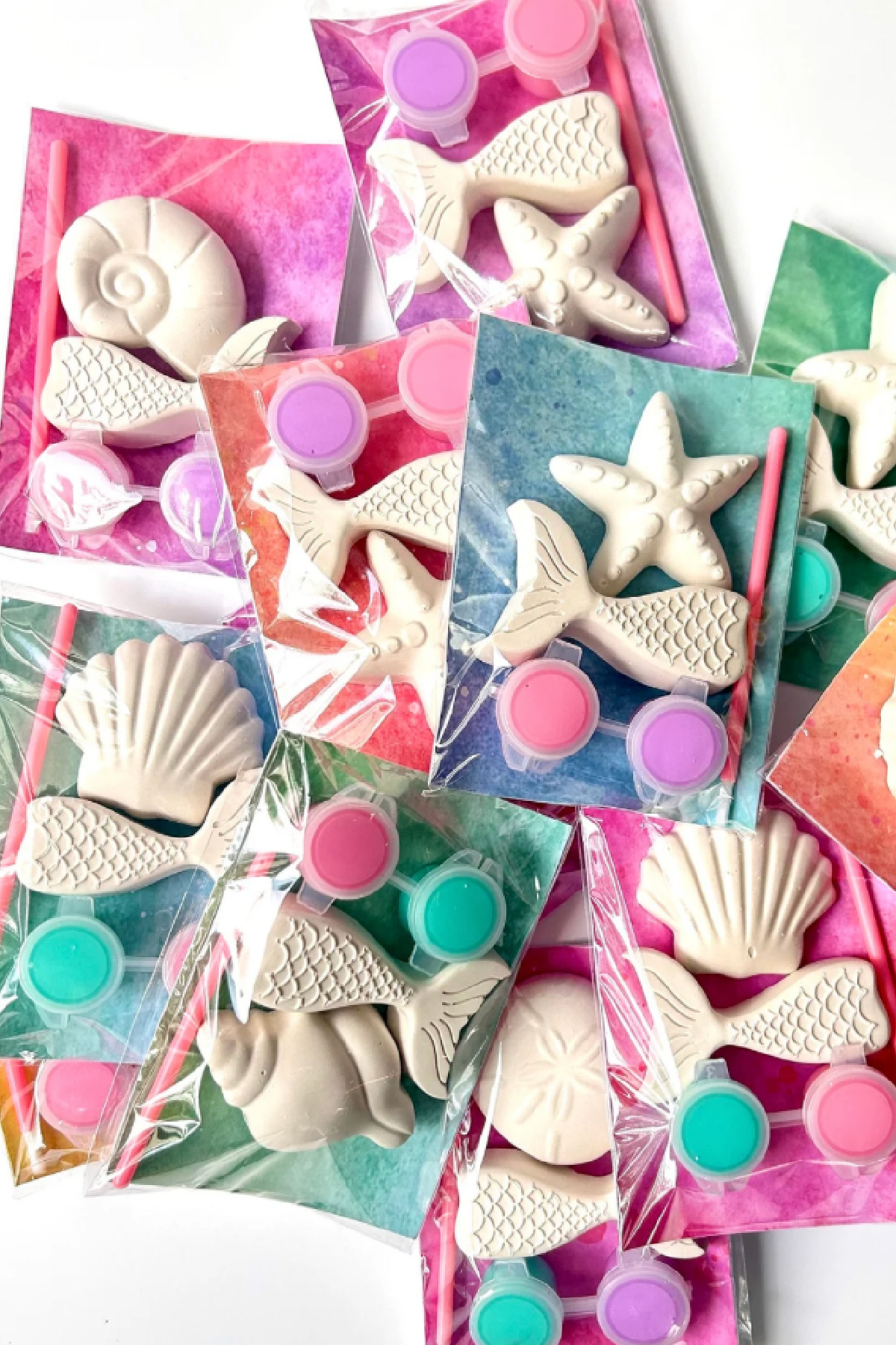 Seashell Painting Kit Seashell Painting Kit