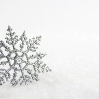 Istock_000013757697small-320x320