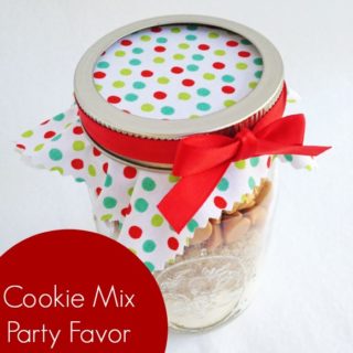 Cookie-mix-party-favor-diy-title-320x320