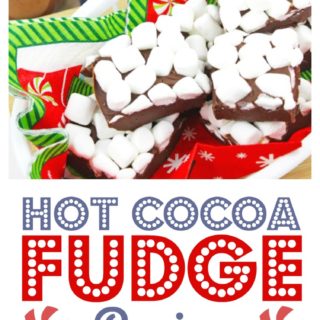 Hotcocoa_final-320x320