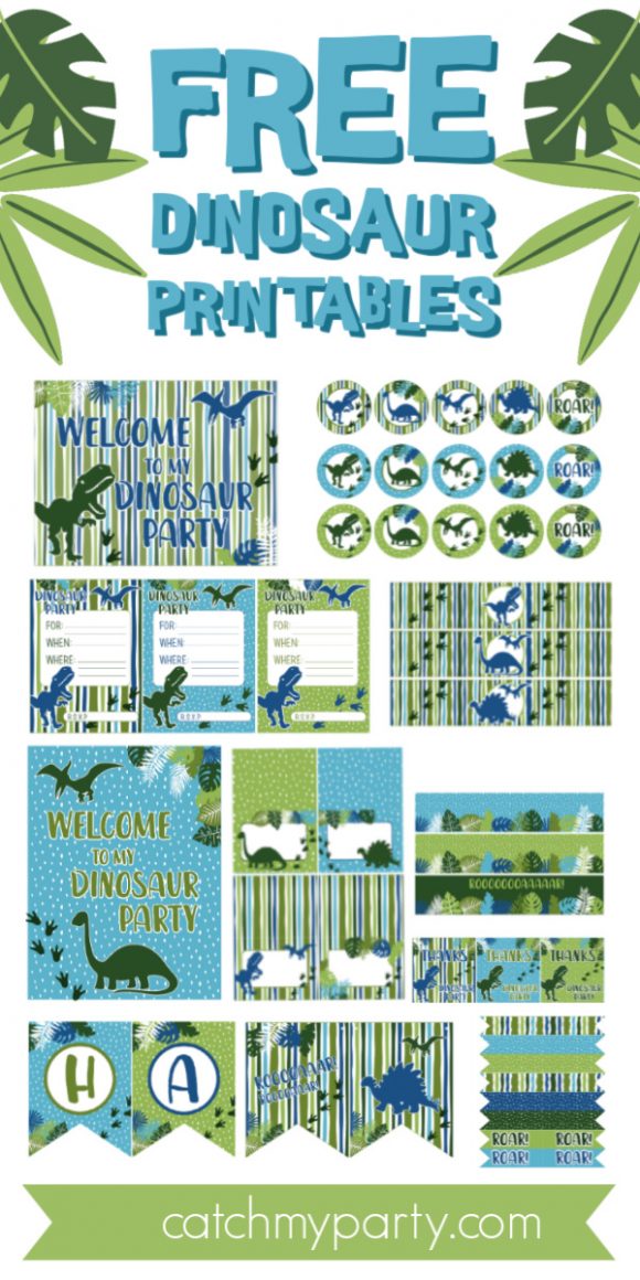 Dinosaurs Party Ideas for a Boy Birthday | Catch My Party