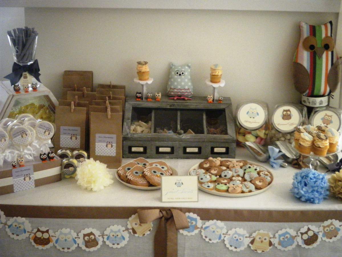 Noa's Baby Owl Party - Owls/baby animals