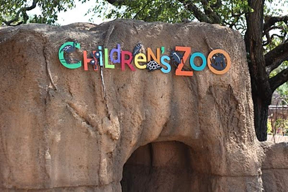 Monkey See, Monkey Do - Monkey!