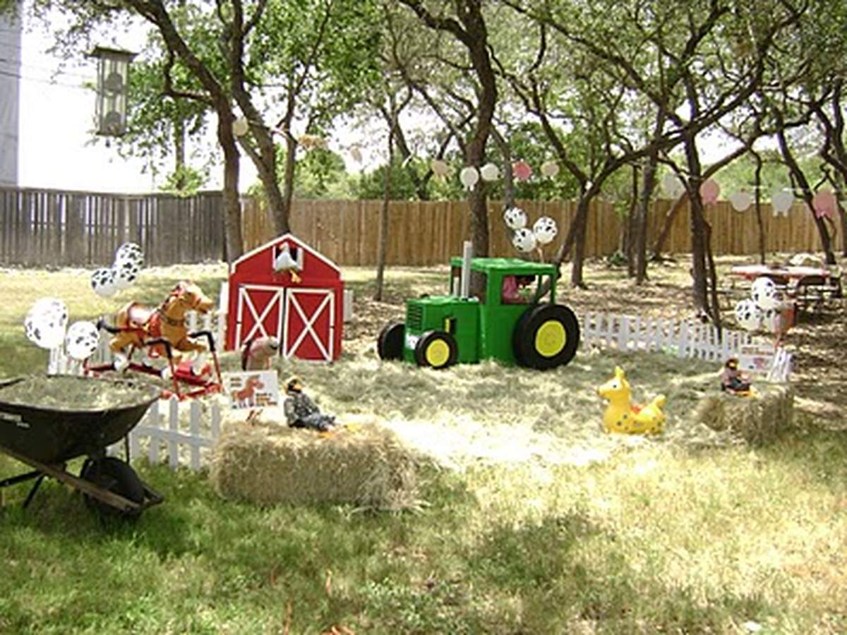 Old MacSohan's Farm Birthday Party - Farm/Barnyard