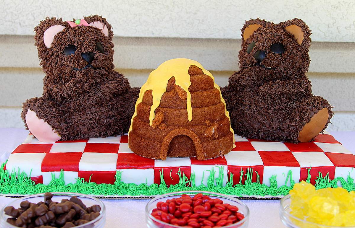 Bears and Bees Birthday Party - Teddy Bear Picnic
