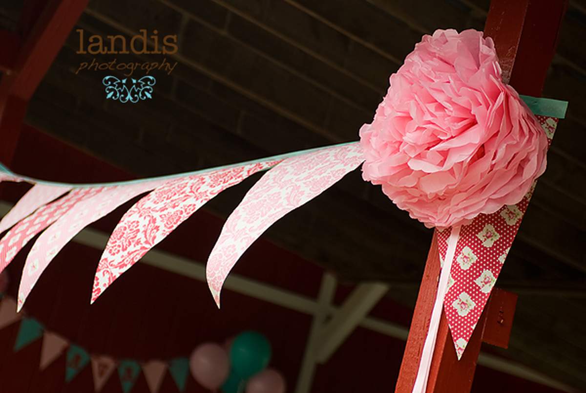 Farm Chic  - Girlie Farm Party