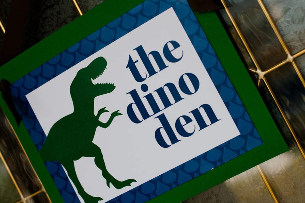 Modern Dinosaur Birthday Adventure - Dinosaurs