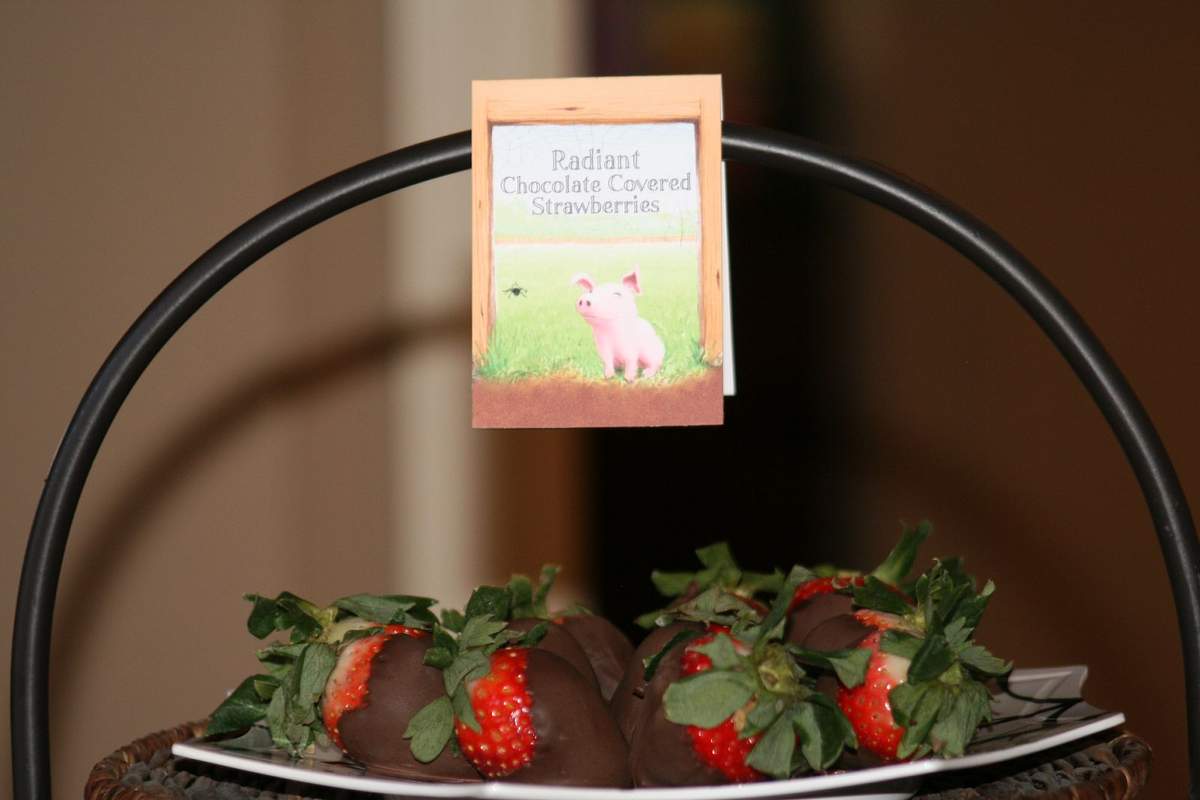 Charlotte's Web Baby Shower Party Ideas Photo 2 of 17 Catch My Party