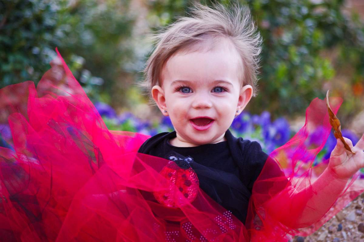 Myleigh's First Birthday - Ladybugs