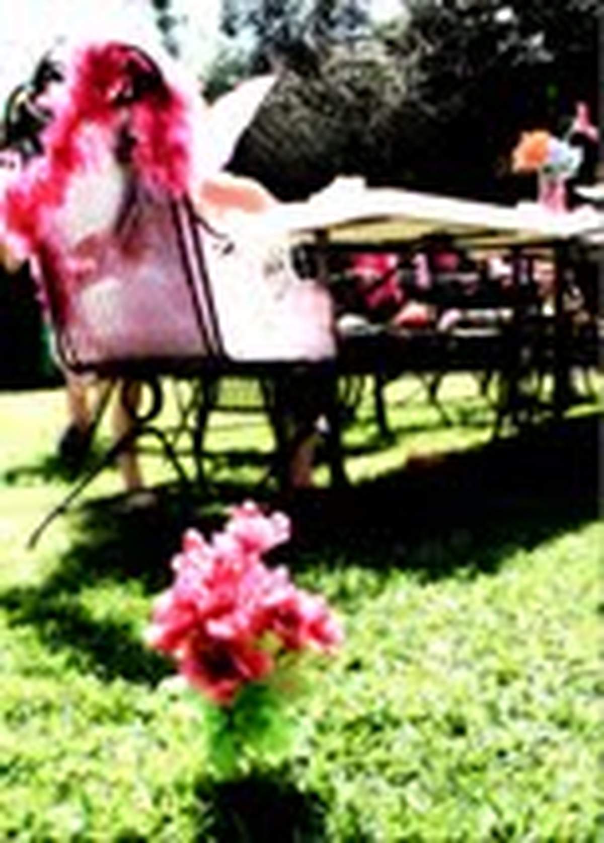 Fairy Tea Party - Fairies are Beautiful!