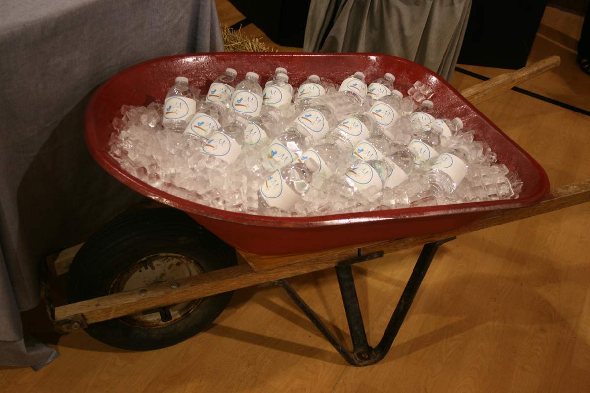 Country Birds Baby Shower Party Ideas Photo 1 Of 27 Catch My Party