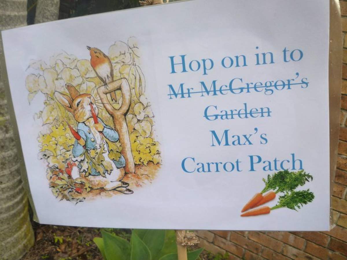 Max's 1st birthday party - Peter Rabbit
