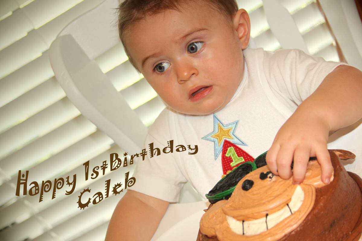 Caleb's 1st Birthday - Monkey Business