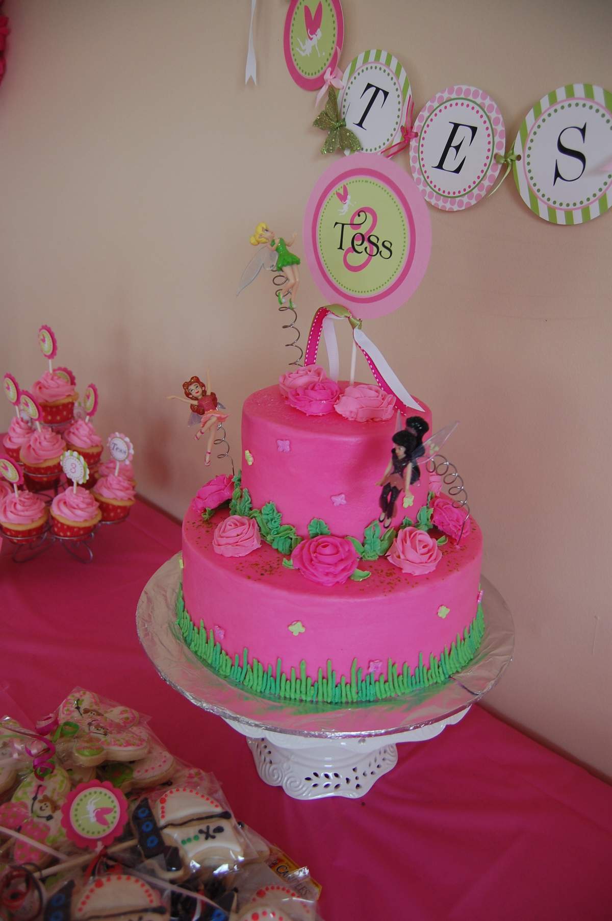 Tess' Fairy & Pirates Party  - Fairy