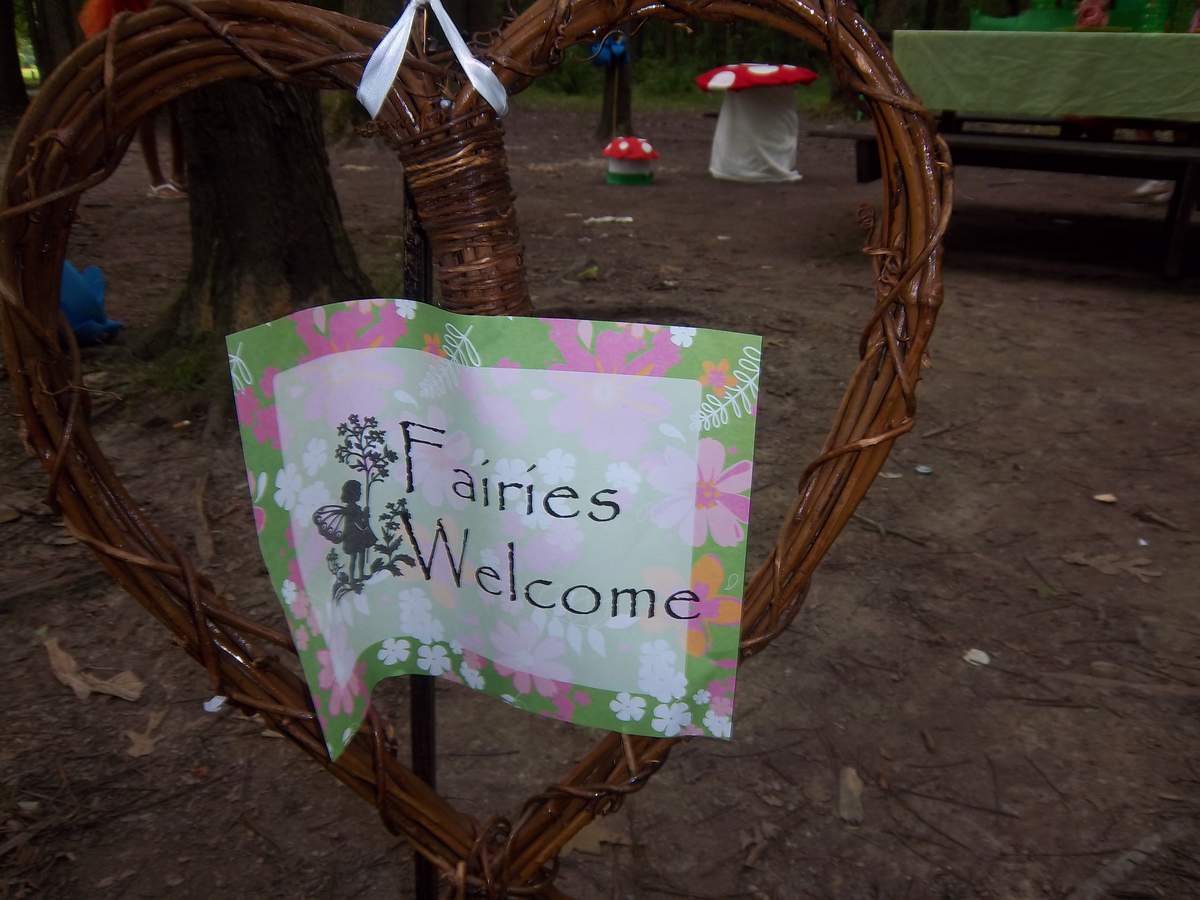 Flower Fairies in the Woods - Fairy