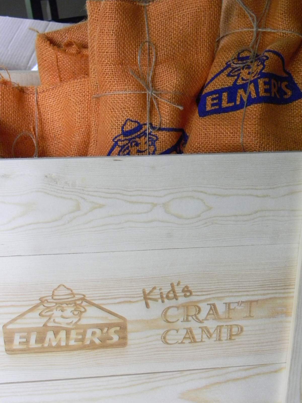 Elmer's Craft Camp Kid's Party - Arts & Crafts