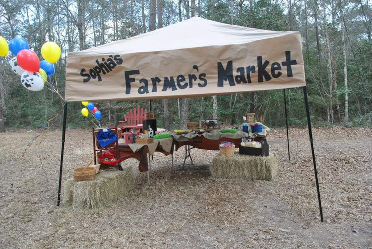 Sophia's Barnyard Bash! - Farm party