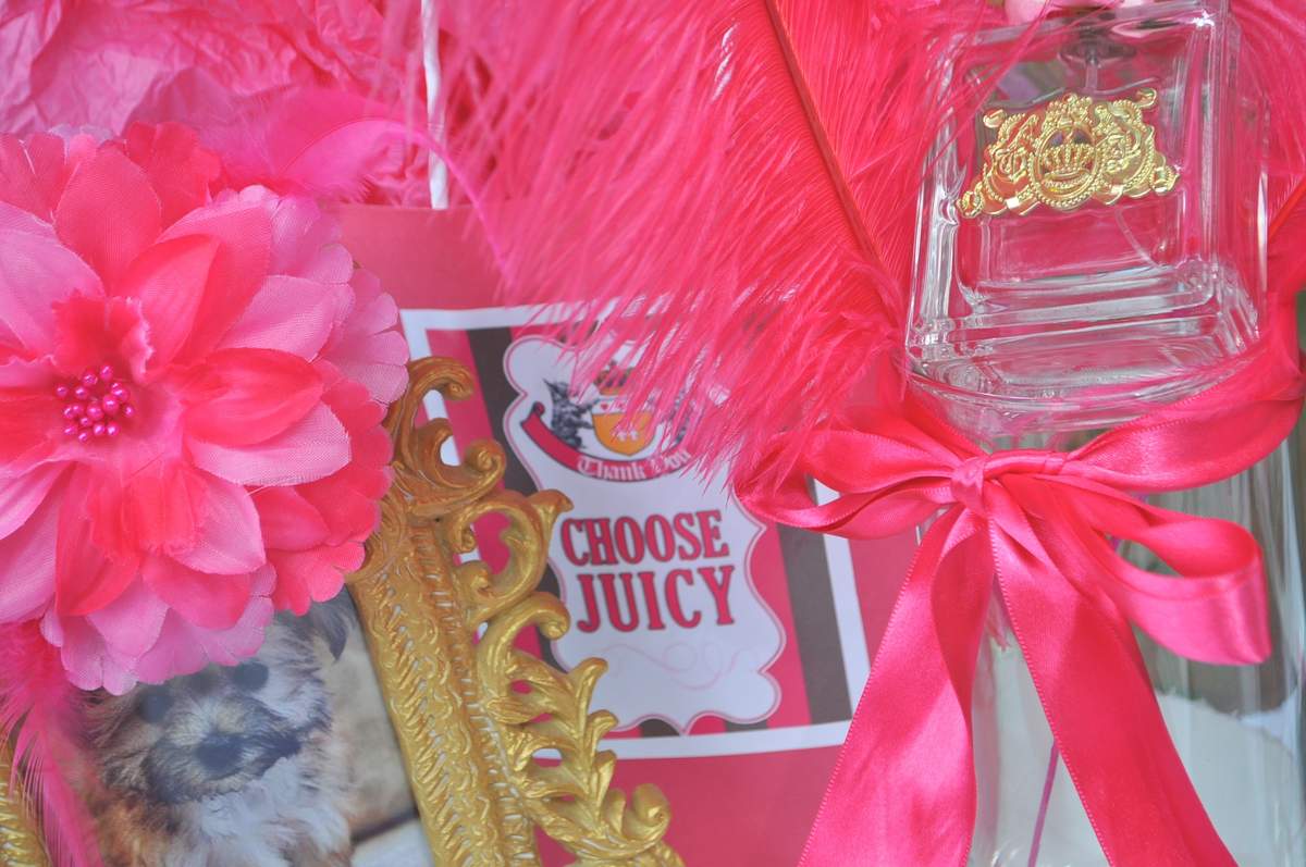 Inspired Juicy Couture Party  - Hot Pink & Brown 