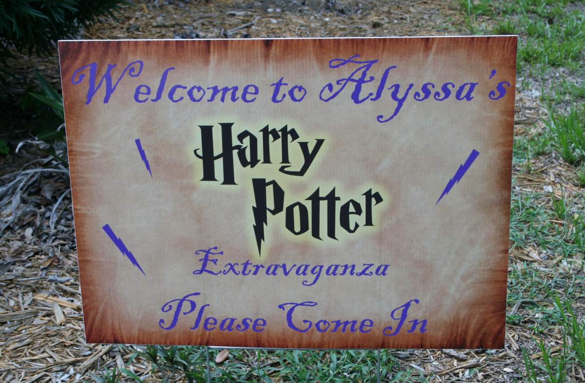 Harry Potter Extravaganza - Harry Potter