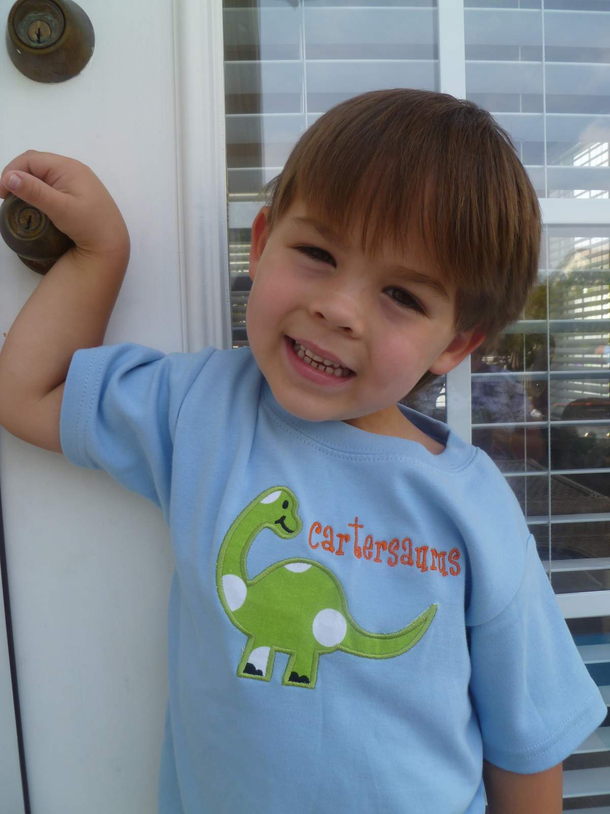 Carter's Dino-mite Party - Dinosaurs