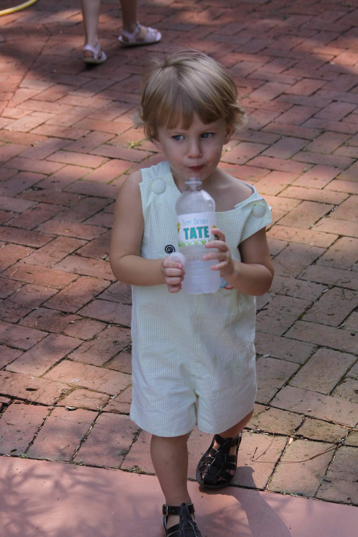 Tate's 2nd Birthday - Bug & Garden Party