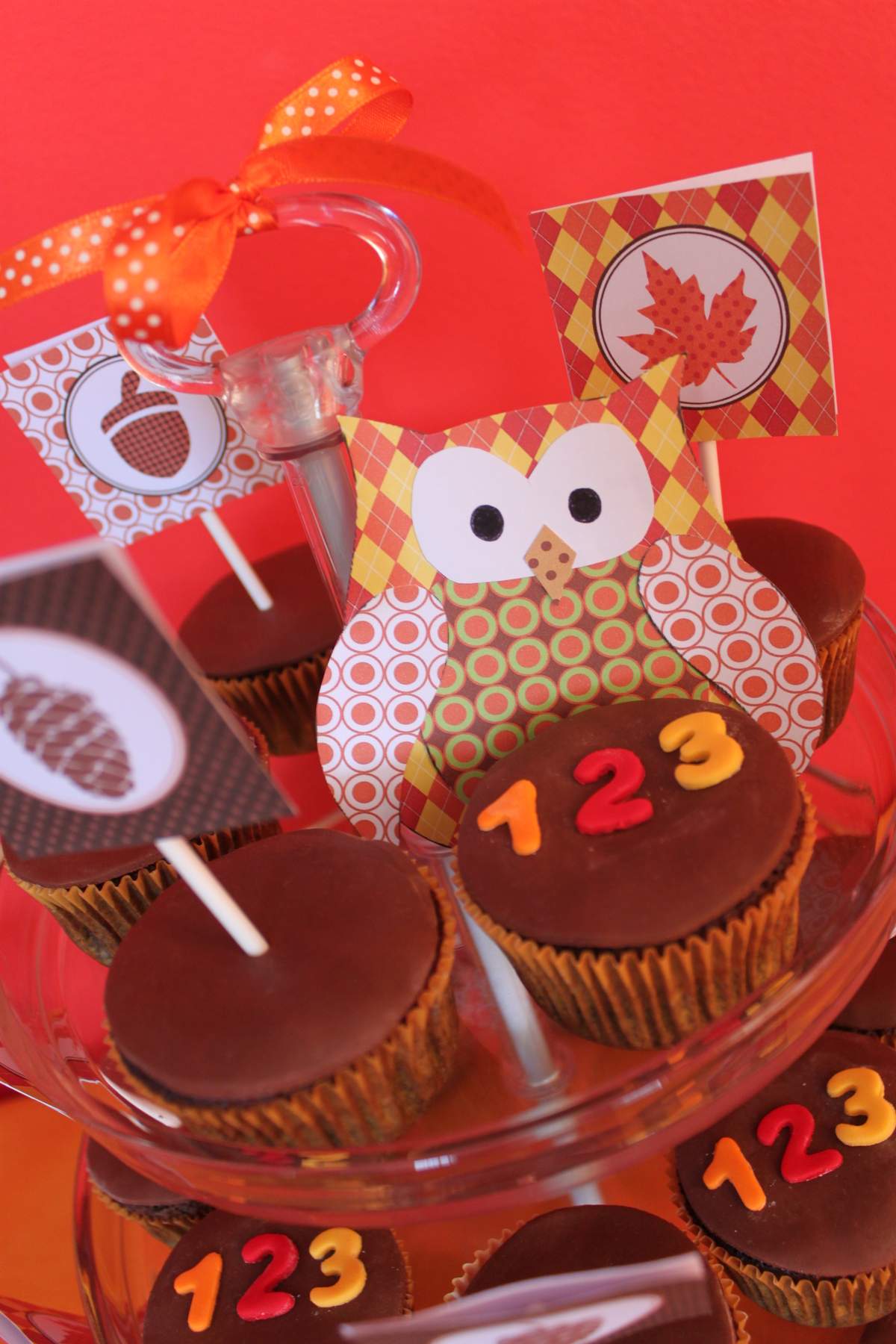 Back to school - Owls' school