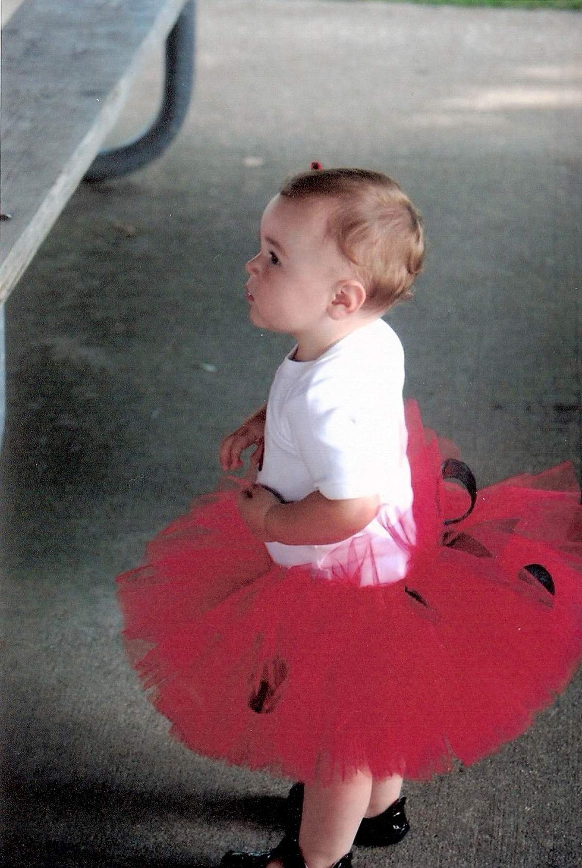 Gracie Bug is turning 1! - Ladybug Birthday Party