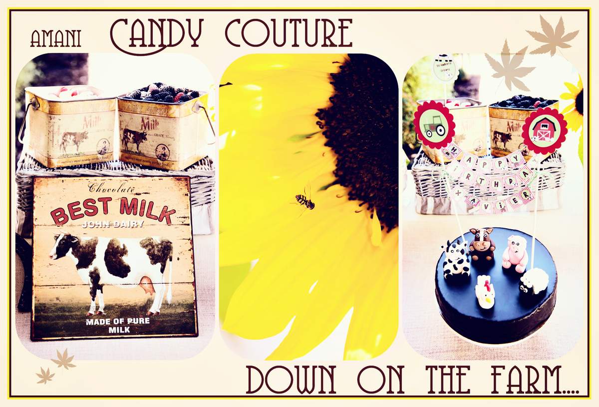 Xavier's 4th Birthday styled by Amani Candy Couture - Down on the Farm