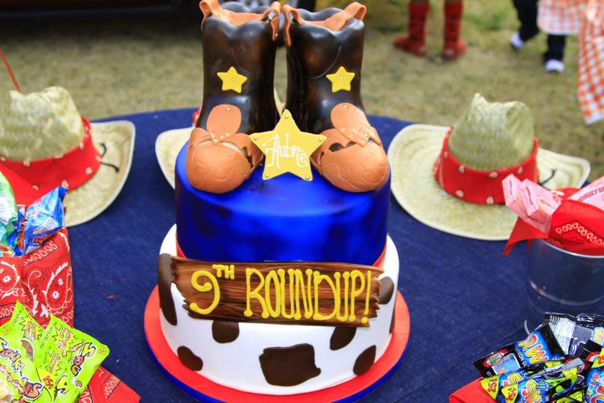 BREE'S PARTY - BREE'S WESTERN RODEO