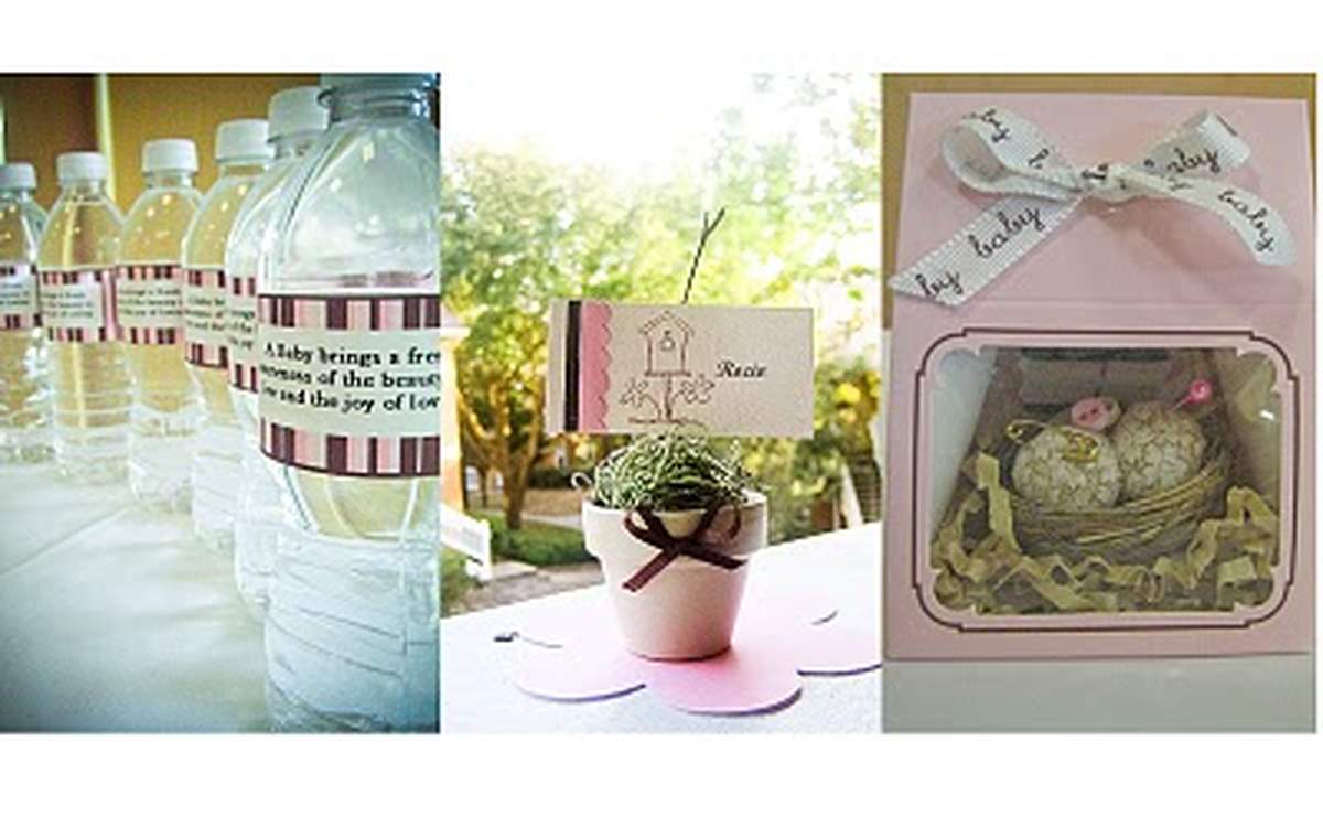 Nesting for Baby Francesca - Nesting Birds