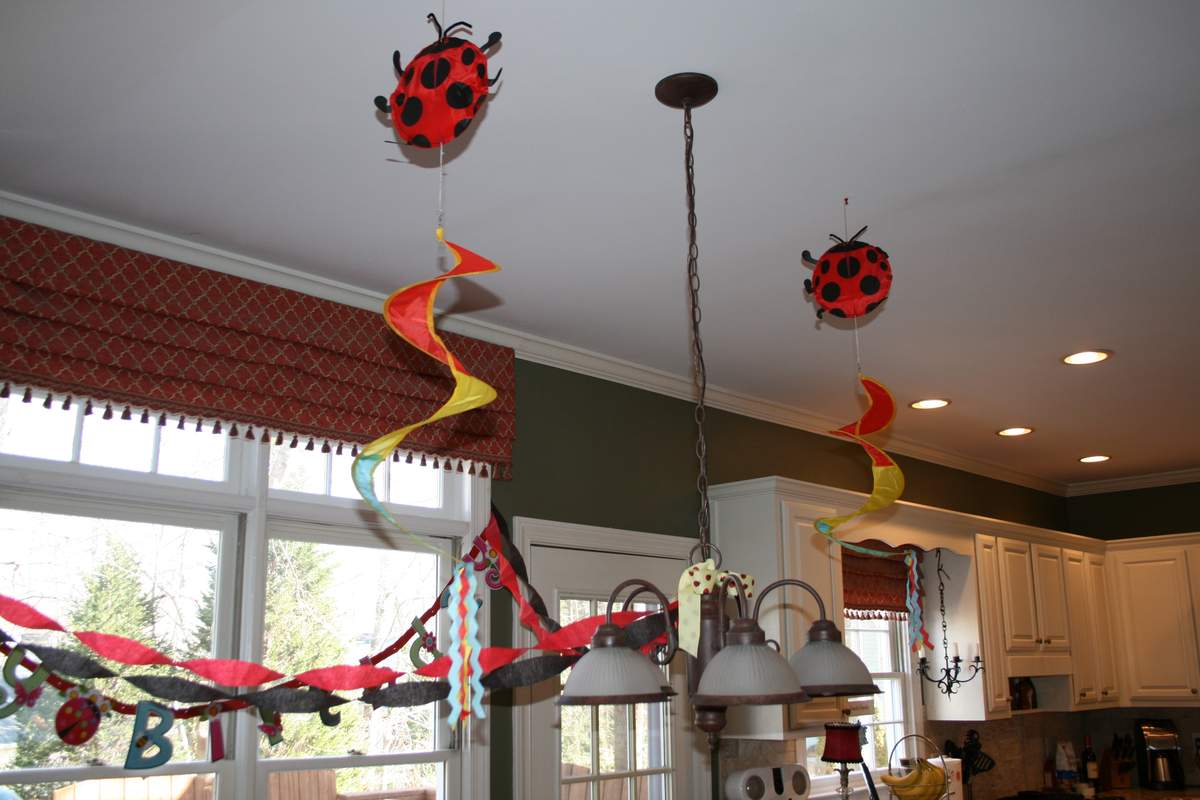 Ladybug 2nd Birthday - Ladybugs