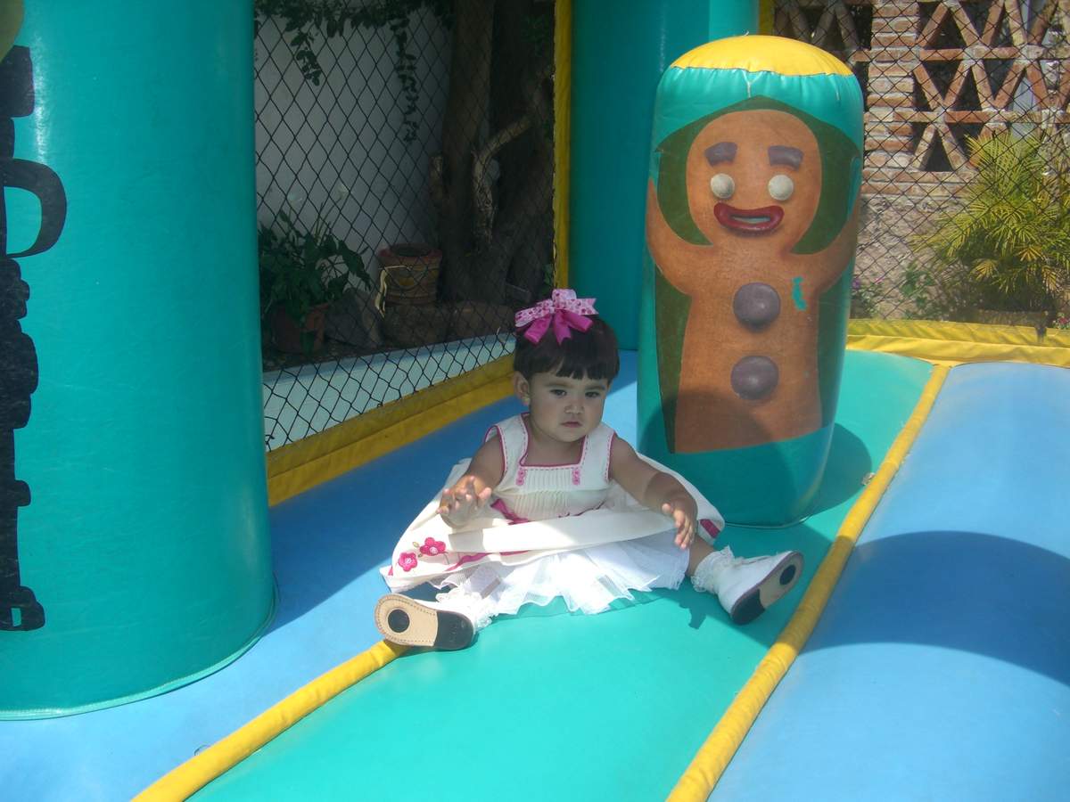 Abril 1st year with Barney - Barney the Dinosaur