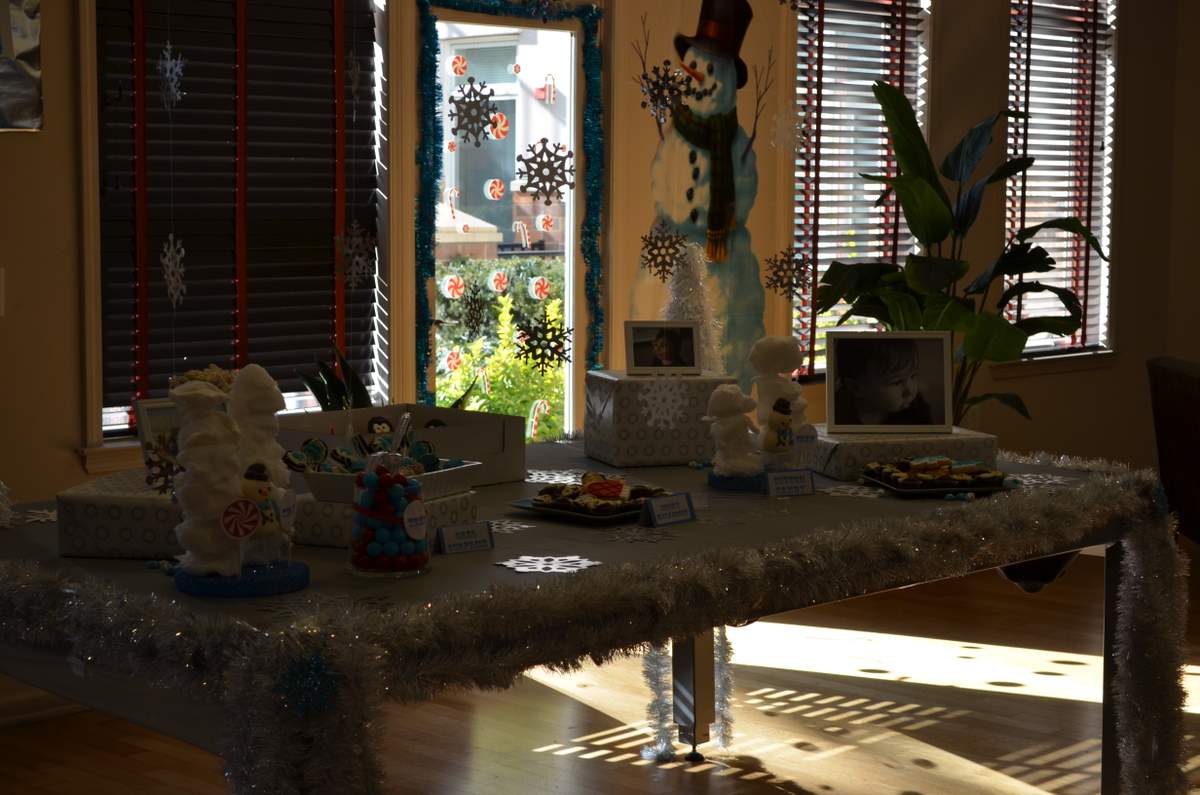 Winter ONEderland - Winter ONEderland, First Birthday Party