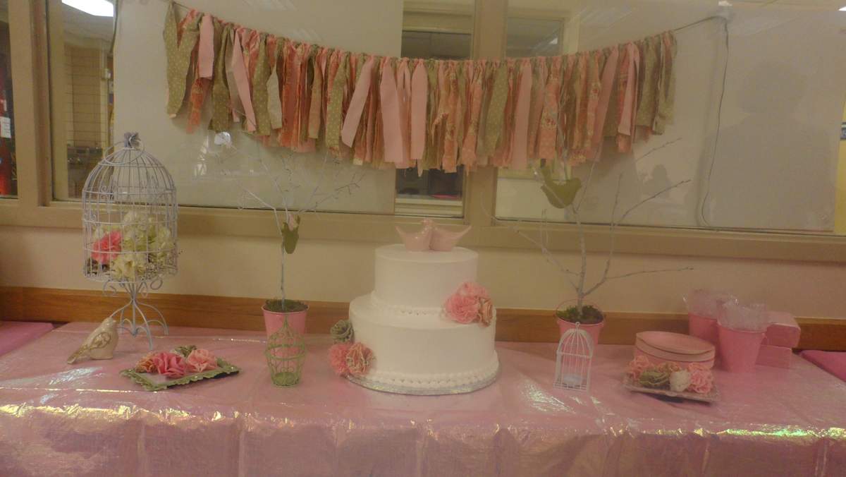 Carmens Baby Shower - Vintage/ Shabby Chic